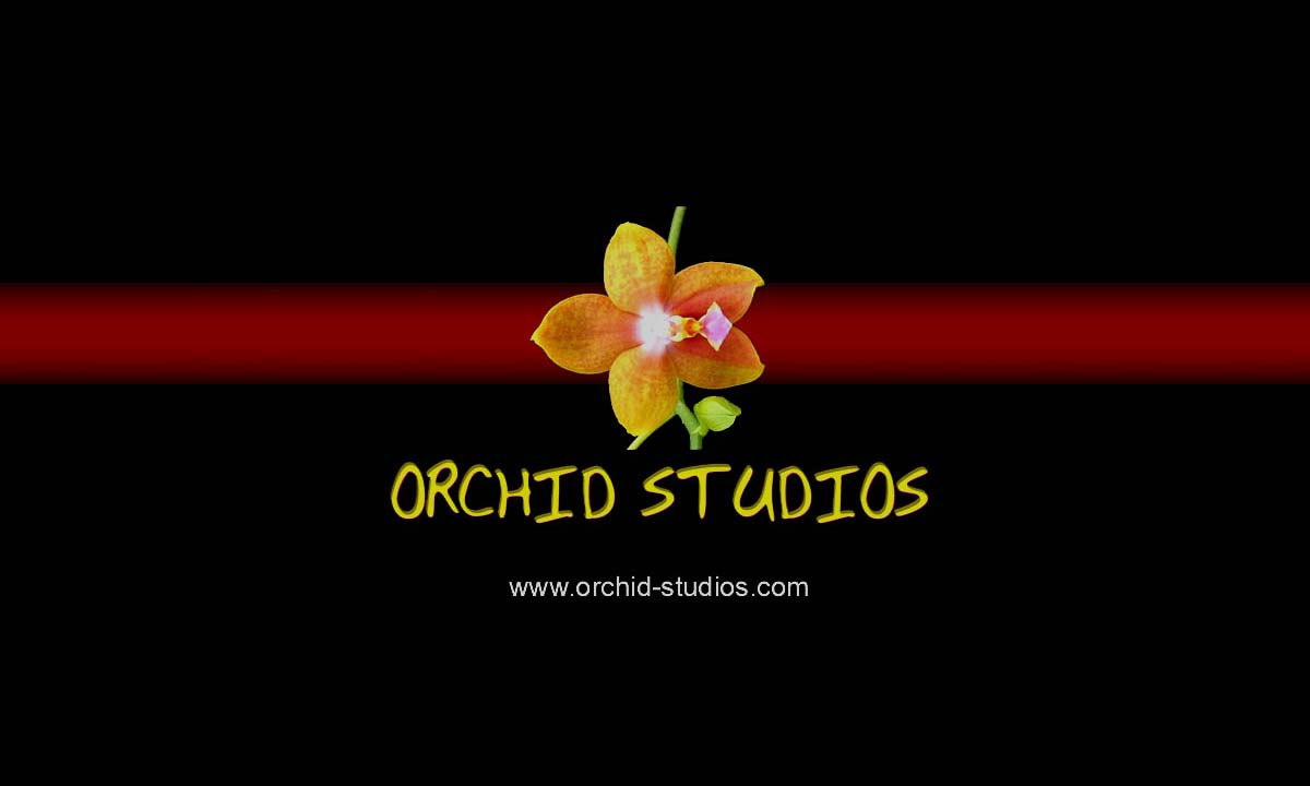  Orchid Studios 